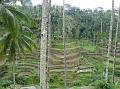 2007 07 17 BALI 0031